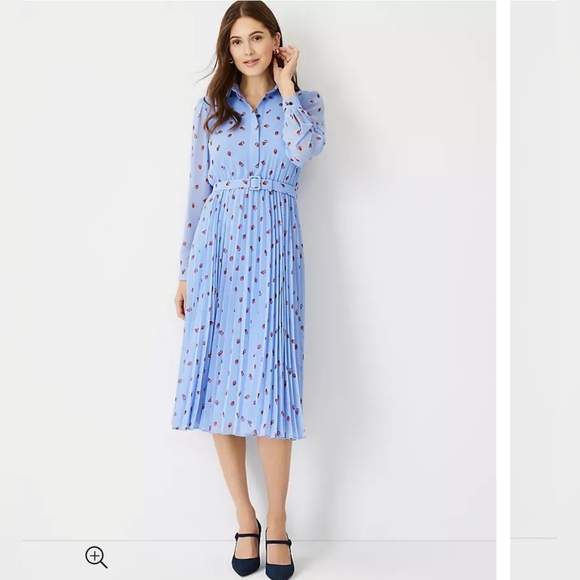 SIZE 18 Ann Taylor Heart Charm Pleated Collared Shirtdress Style # 579241 NWT - Picture 1 of 10